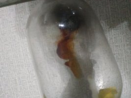 IMG_20230801_020620.jpg