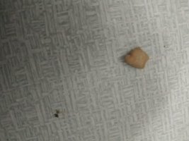 IMG_20230801_020837.jpg