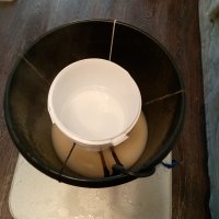 IMG_20240207_144552_600.jpg